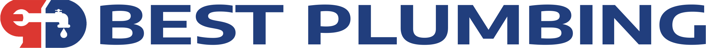 website logo